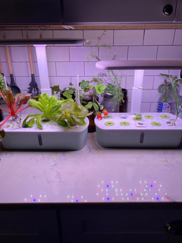 Hydroponics Growing System Kits - Image 3