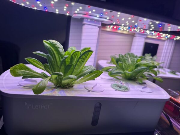 Hydroponics Growing System Kits - Image 2